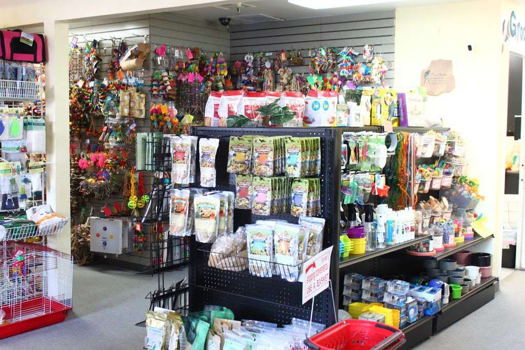 Feathered Follies | 1820 Arnold Industrial Way, Concord, CA 94520, USA | Phone: (925) 681-2473