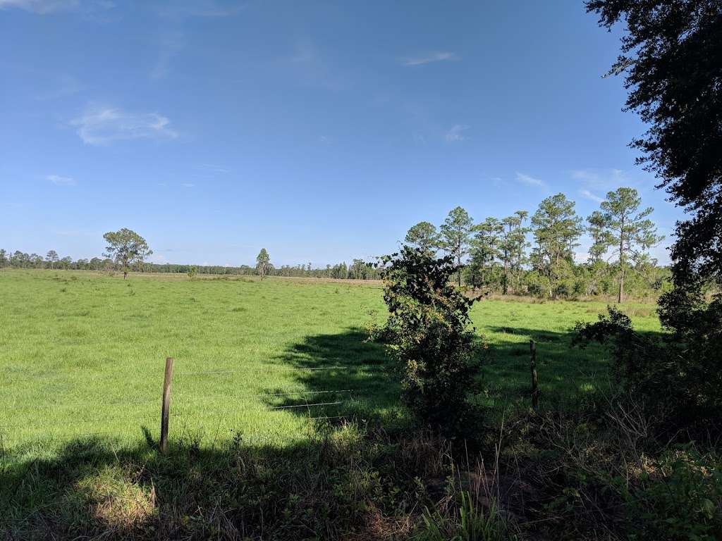 Van Fleet Trail - Polk City Trailhead | Van Fleet Trail, Polk City, FL 33868, USA | Phone: (352) 394-3969