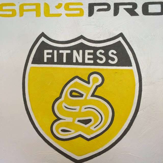 Sals Pro Sport & Fitness | 541 N State Rd, Briarcliff Manor, NY 10510, USA | Phone: (914) 923-5575