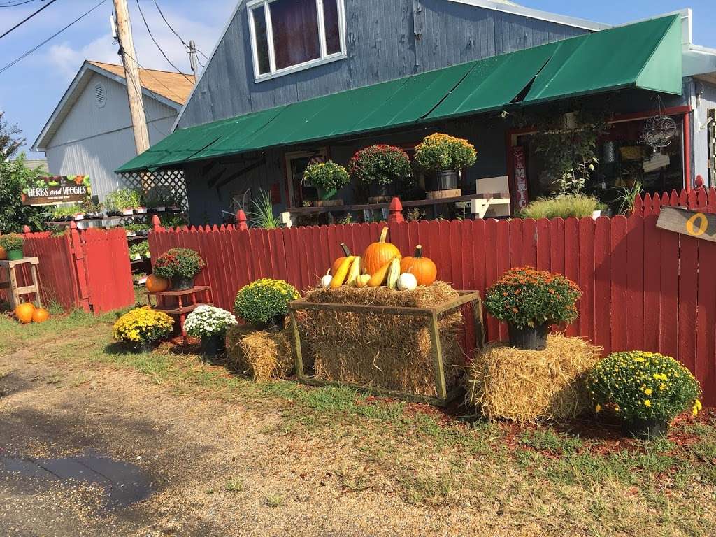 Two Hens Feed, Seeds & Bees | 2720, 18080 Point Lookout Rd, Park Hall, MD 20667, USA | Phone: (240) 309-1885