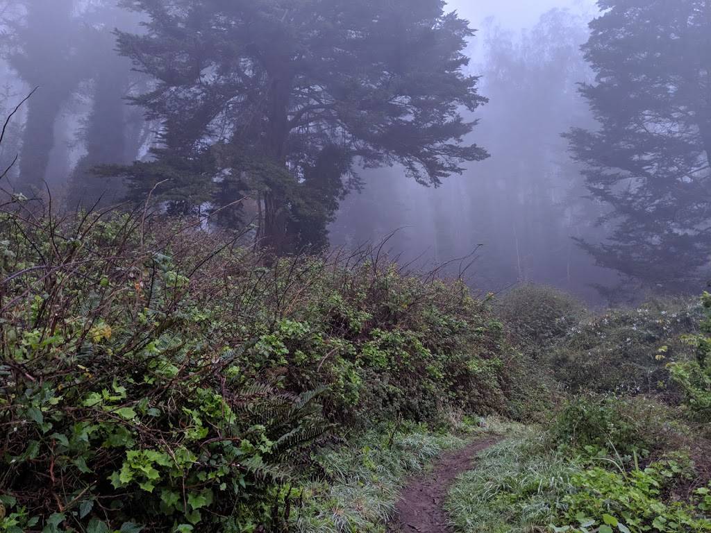 Mount Davidson Hiking Path Entrance | 298 Juanita Way, San Francisco, CA 94127, USA | Phone: (415) 831-6331