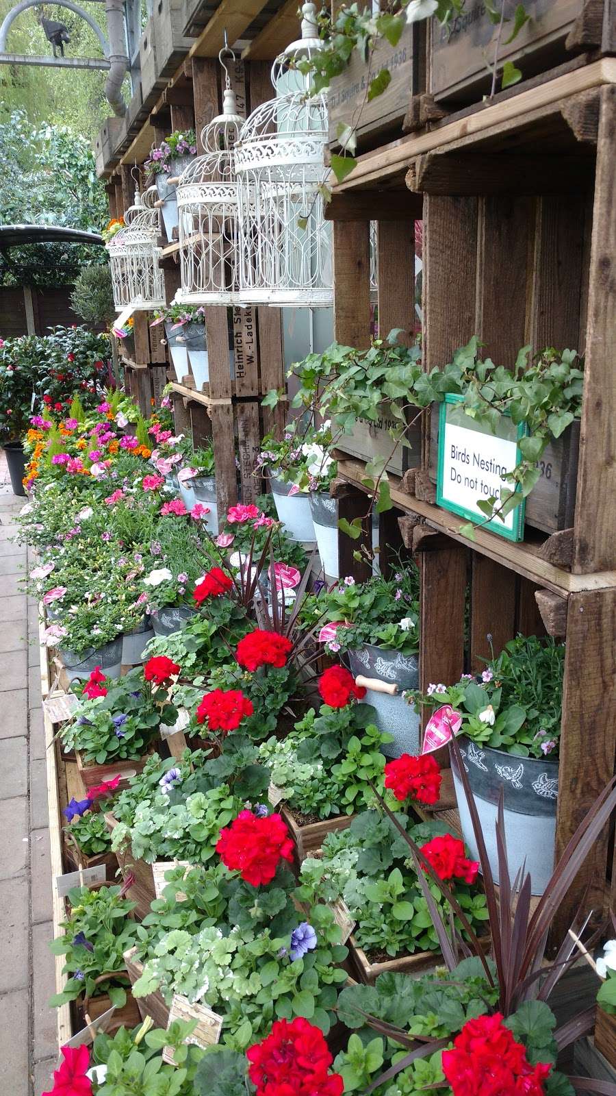 Squires Garden Centre | A25, Reigate RH2 9RE, UK | Phone: 01737 247217