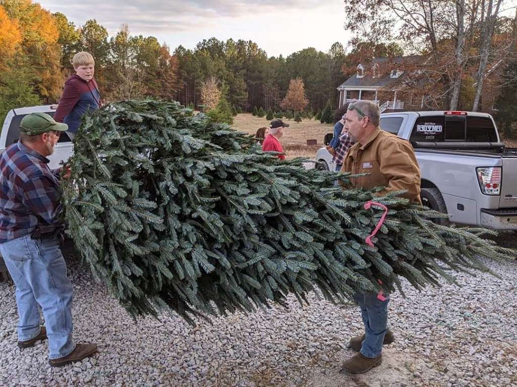 Old Time Christmas Tree Farm | 2042 Moseley Private Dr, Lancaster, SC 29720, USA | Phone: (803) 804-0016