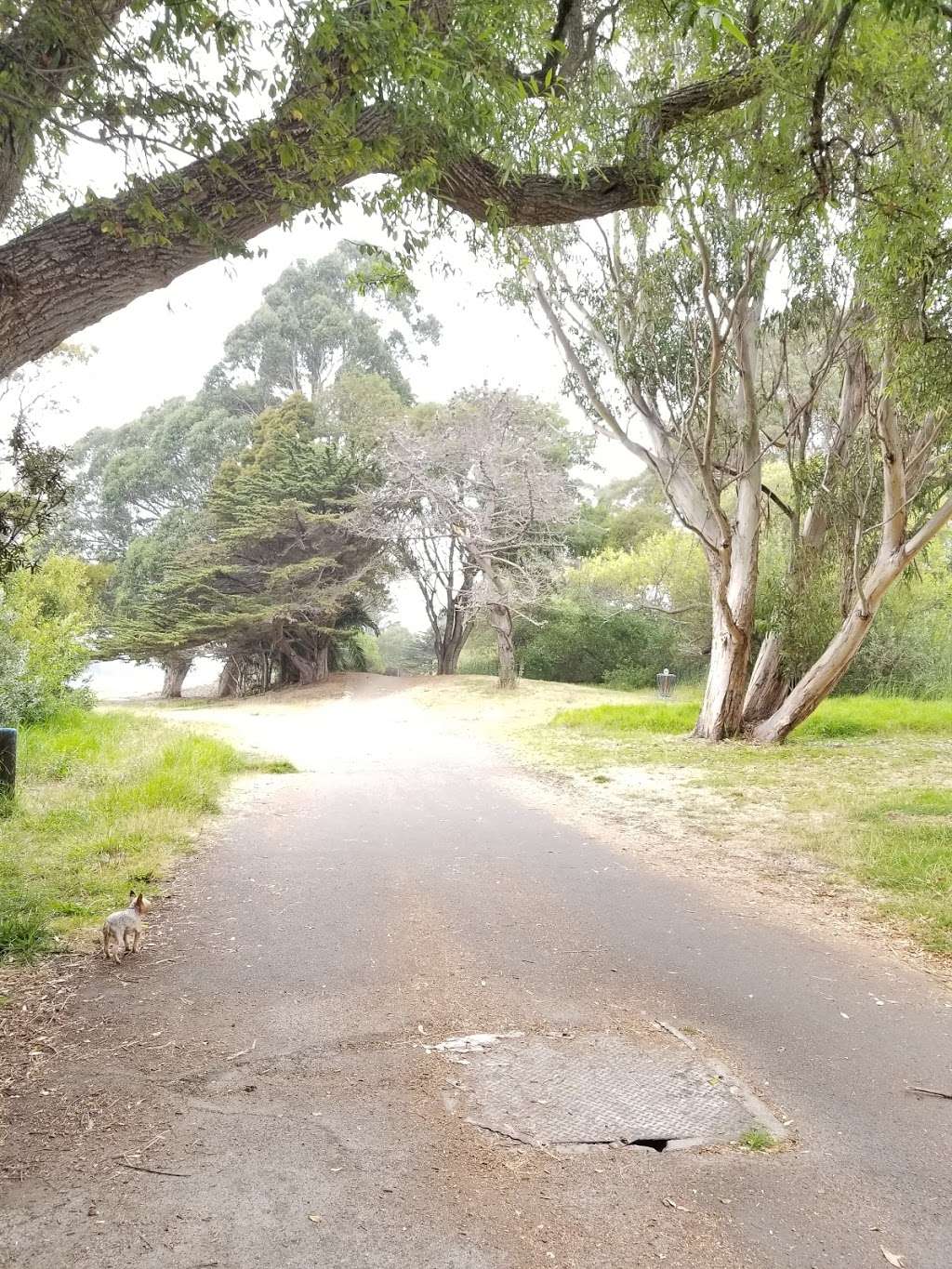 Aquatic park Parking | Aquatic Park Path, Berkeley, CA 94710