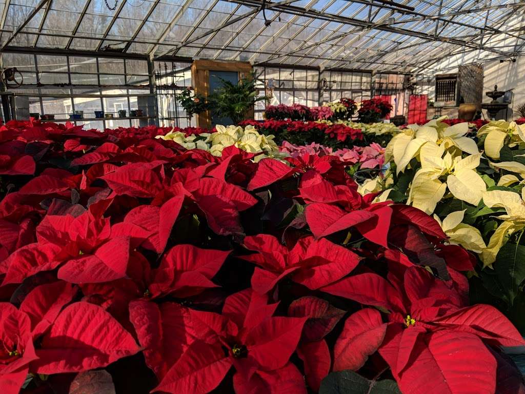 Meadows Farms Nurseries & Landscaping | 15930 Old Columbia Pike, Burtonsville, MD 20866 | Phone: (301) 384-3730