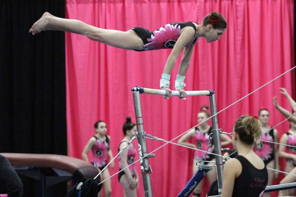 All American Gymnastics | 323 Business Ln, Ashland, VA 23005, USA | Phone: (804) 239-4530