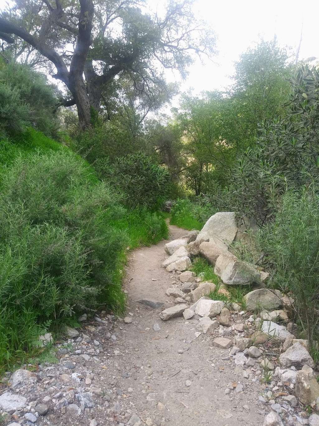 Trail Canyon Trailhead | Sunland-Tujunga, CA 91040