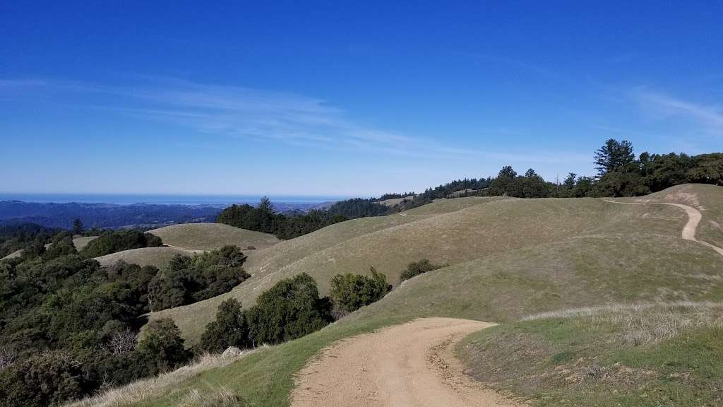 Hickory Oaks Trail | Los Gatos, CA 95033, USA
