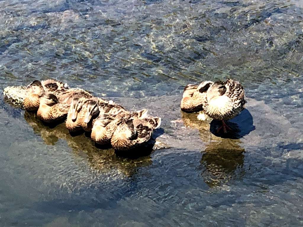 South Platte Park and Carson Nature Center | 3000 W Carson Dr, Littleton, CO 80120, USA | Phone: (303) 730-1022