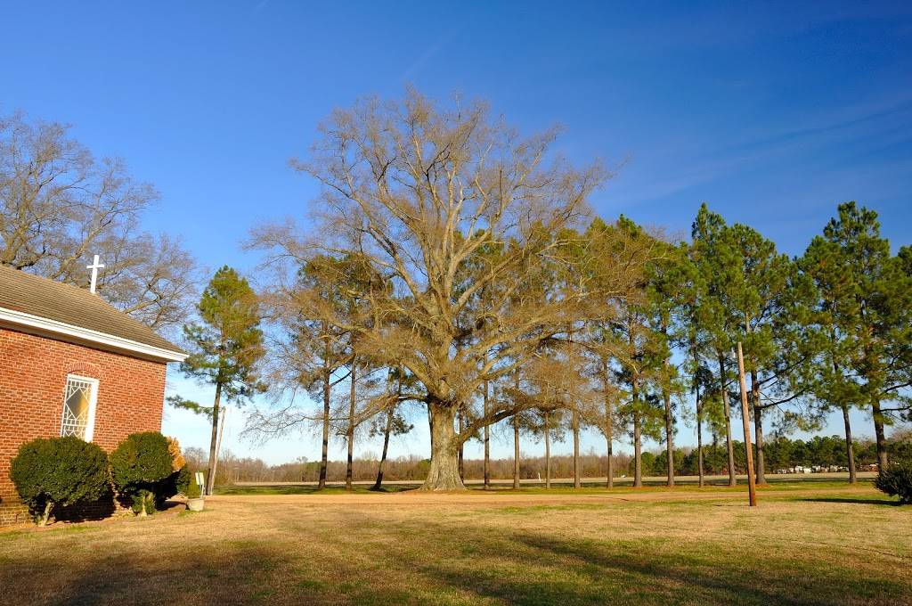 Glebe Episcopal Church | 4400 Nansemond Pkwy, Suffolk, VA 23435, USA | Phone: (757) 538-8842