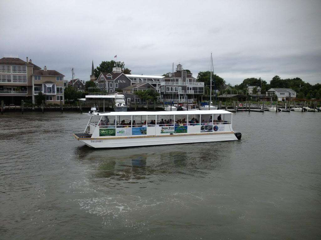 Cape Water Tours and Taxi | 217 Anglers Rd, Lewes, DE 19958, USA | Phone: (302) 644-7334