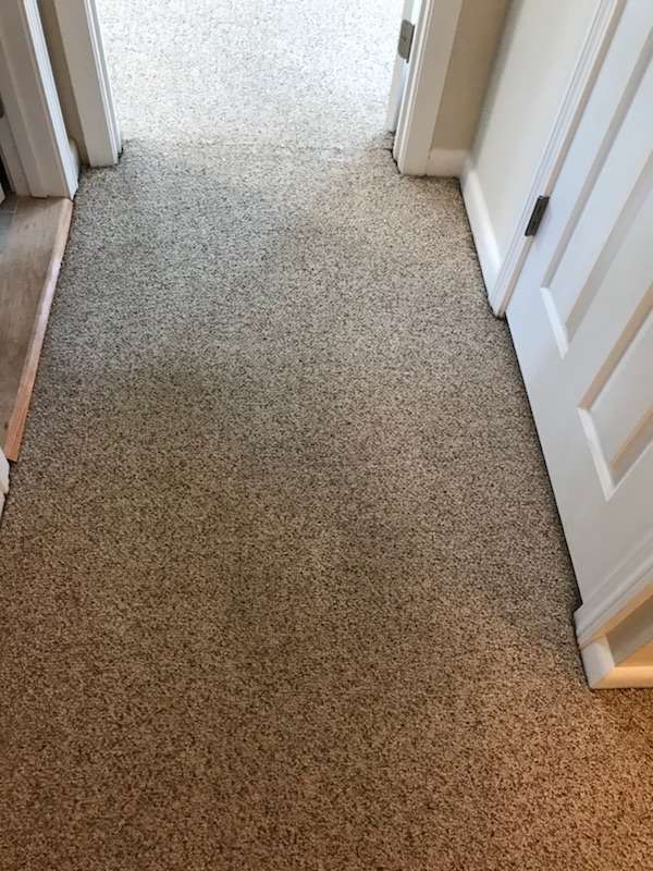 Ms. Carpet Clean | Carpet Cleaning Massachusetts | 30 Summit Rd, Saugus, MA 01906, USA | Phone: (781) 233-5800