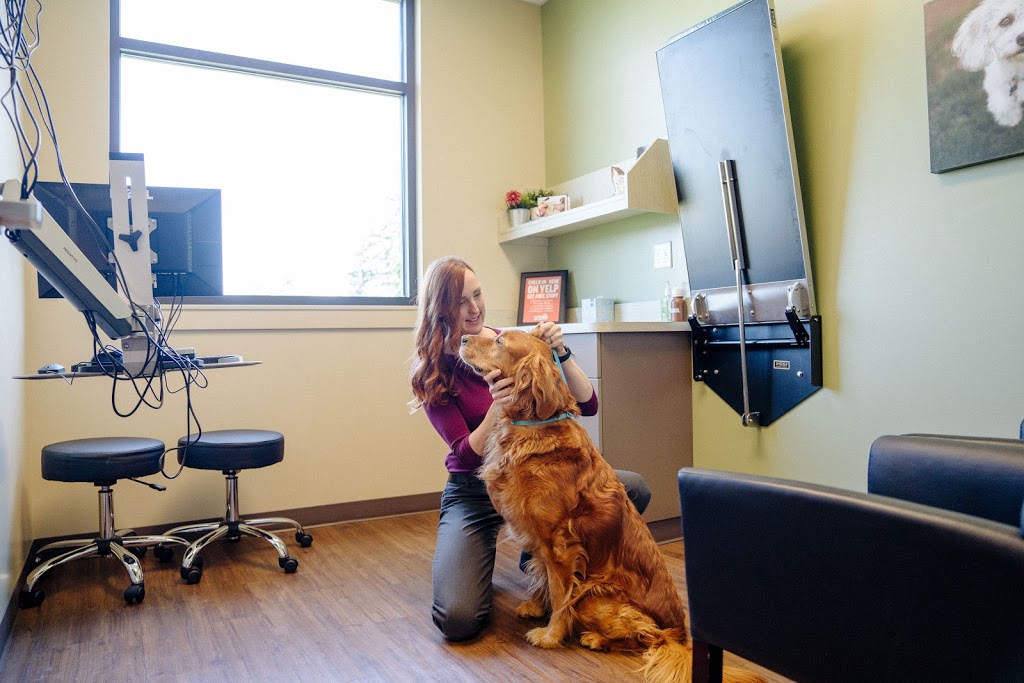 East Padden Animal Hospital | 15721 NE Fourth Plain Blvd, Vancouver, WA 98682, USA | Phone: (360) 892-1500