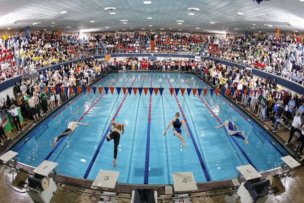 Wildkit Swimming | 1600 Dodge Ave, Evanston, IL 60201, USA | Phone: (847) 424-7941