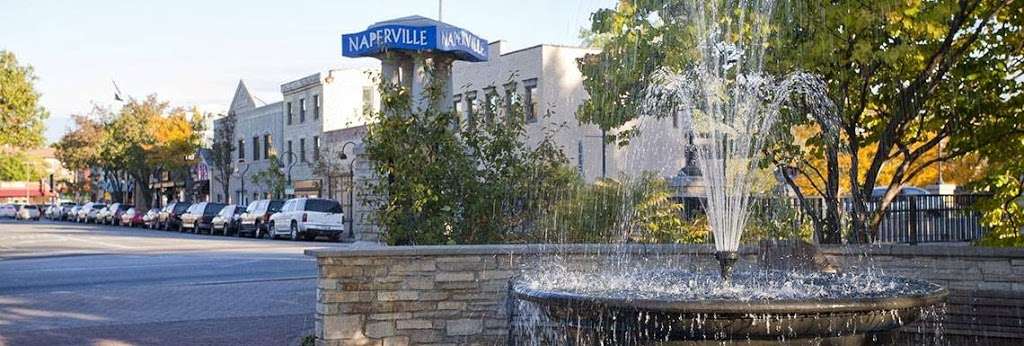 Midwest Exterminating, Pest Control of Westmont and Naperville | 228 N Grant St, Westmont, IL 60559, USA | Phone: (630) 968-0200