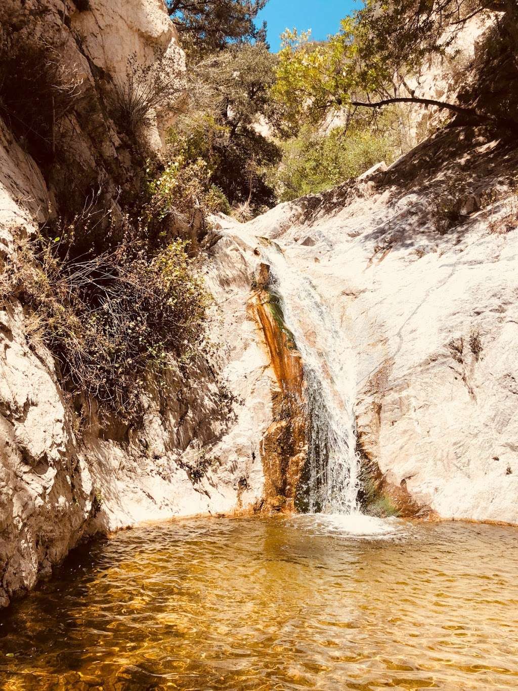 Switzer Falls Trail in 701 Angeles Crest Hwy, Tujunga, CA 91042, USA