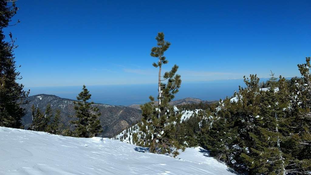 Mt. Pinos Hiking Trail | Forest Rte 9N24, Frazier Park, CA 93225, USA