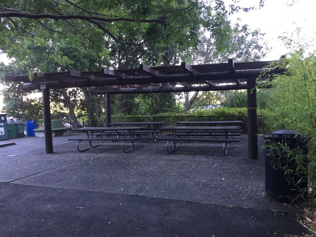 Victor Jones Park | San Rafael, CA 94901, USA