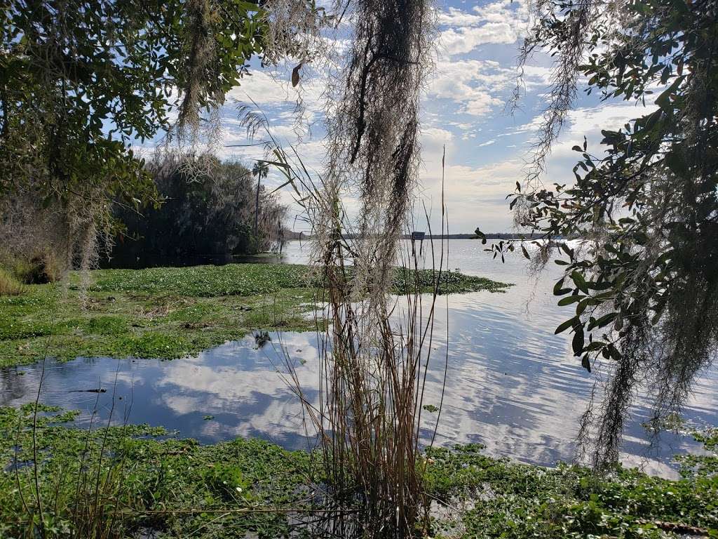 Lake George Wildlife Management Area | Pierson, FL 32180, USA