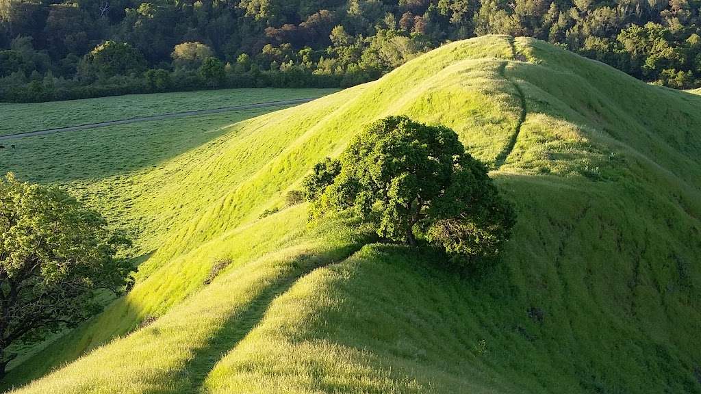 Briones Regional Park | 2537 Reliez Valley Rd, Martinez, CA 94553, USA | Phone: (888) 327-2757