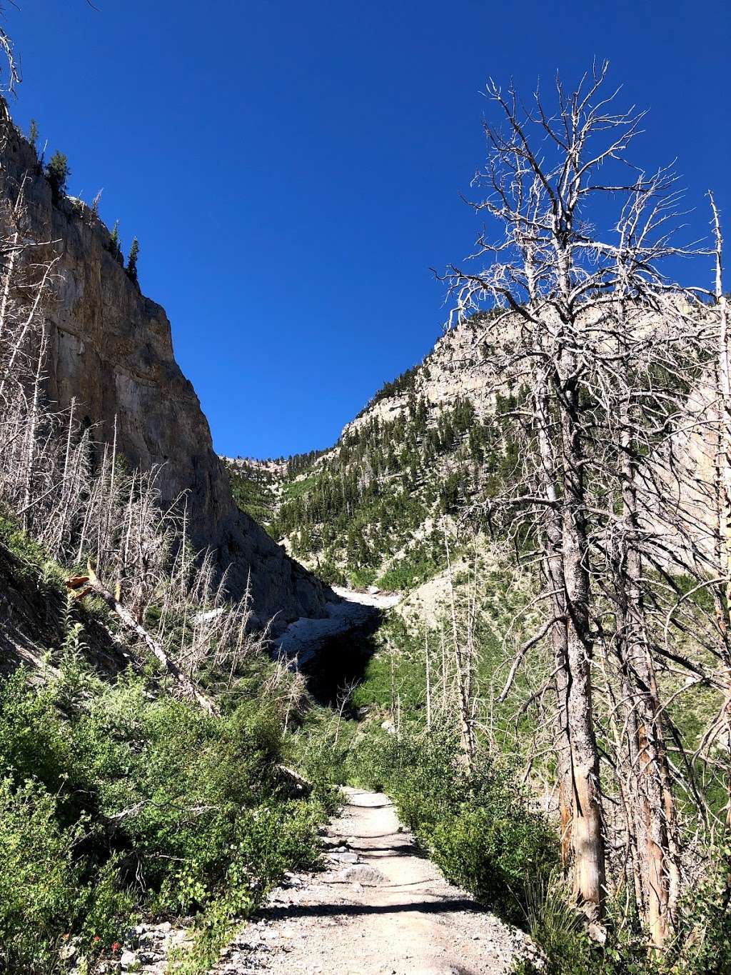 Echo Overlook | South Loop, Mt Charleston, NV 89124, USA