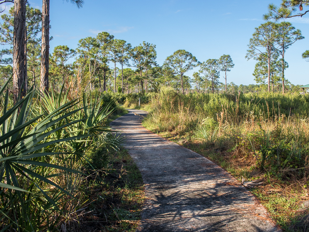 Sweetbay Natural Area | 12560 Aviation Rd, West Palm Beach, FL 33412 | Phone: (561) 233-2400