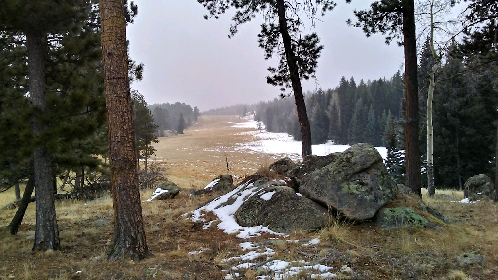 Mount Evans State Wildlife Area Campsite | 7824 Upper Bear Creek Rd, Evergreen, CO 80439, USA | Phone: (303) 291-7227