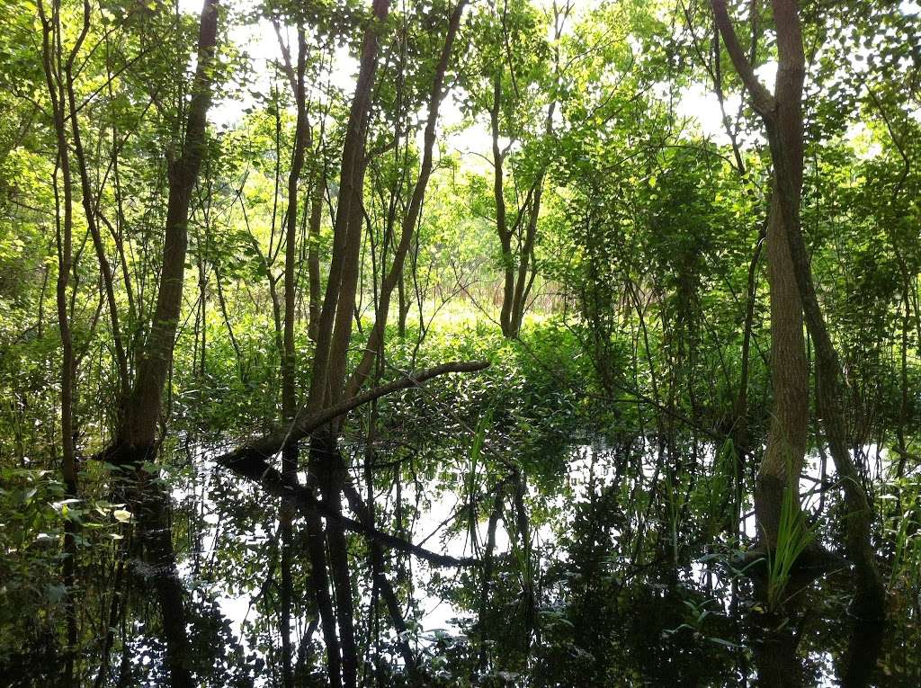 Pine Brook North Wetlands | North Wetlands Walk, Houston, TX 77059, USA | Phone: (281) 280-9944