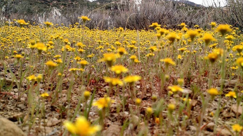 Potrero John Campground | Maricopa, CA 93252, USA