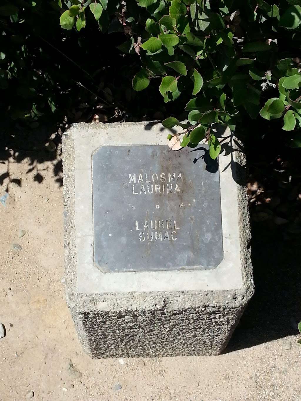 Seaview Park Trail And Overlook | Laguna Beach, CA 92651, USA Seaview Park Trail And Overlook | Laguna Beach, CA 92651, USA