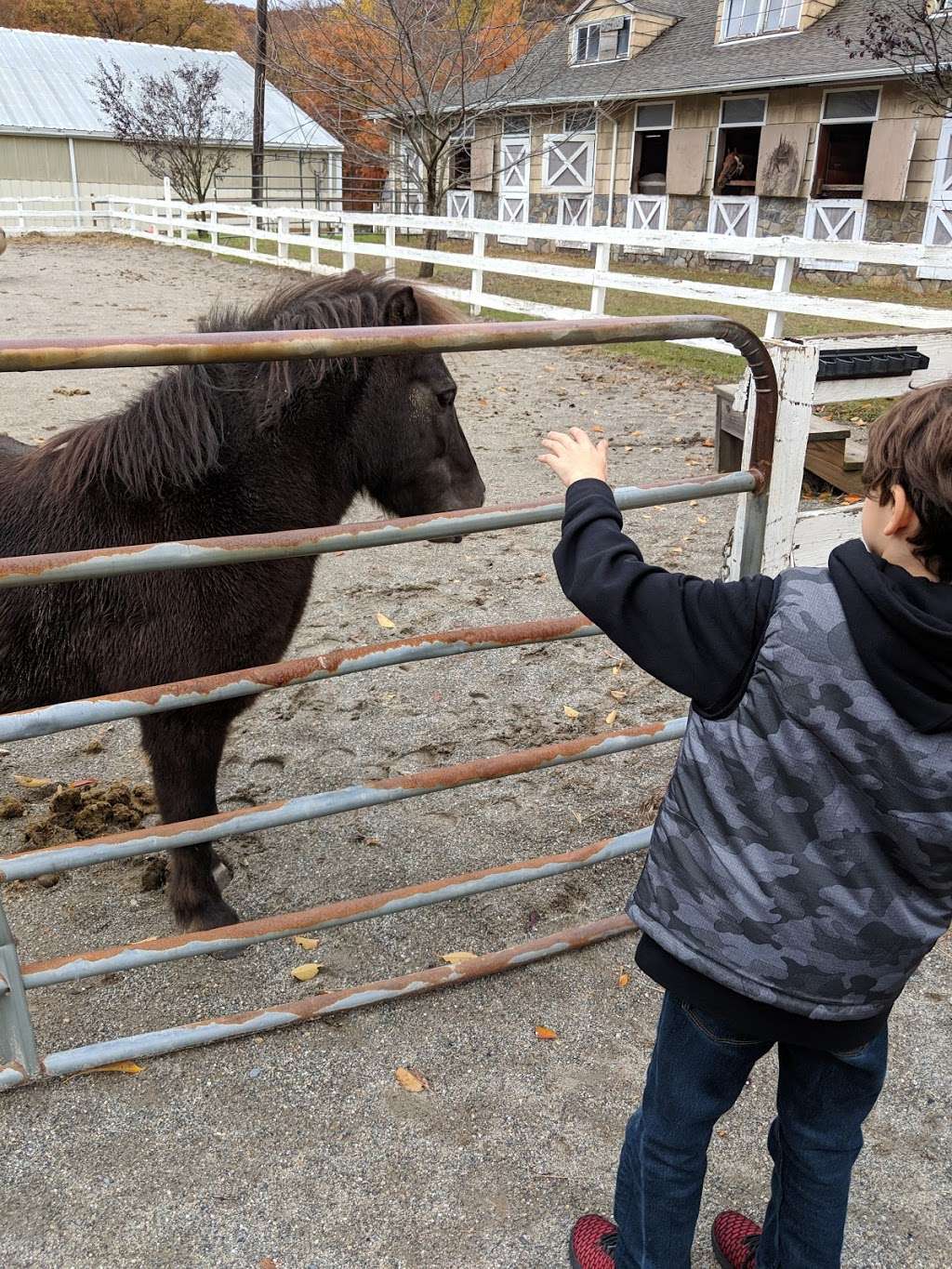 Chicory Meadow Farm | 76 Jack Rd, Cortlandt, NY 10567 | Phone: (914) 737-7814