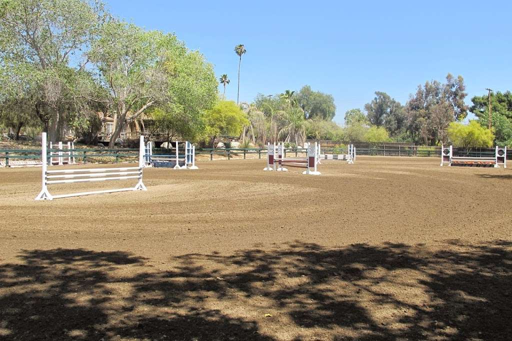 D&D Show Stables and Riding Club | 11127 Orcas Ave, Lake View Terrace, CA 91342, USA | Phone: (818) 584-4524