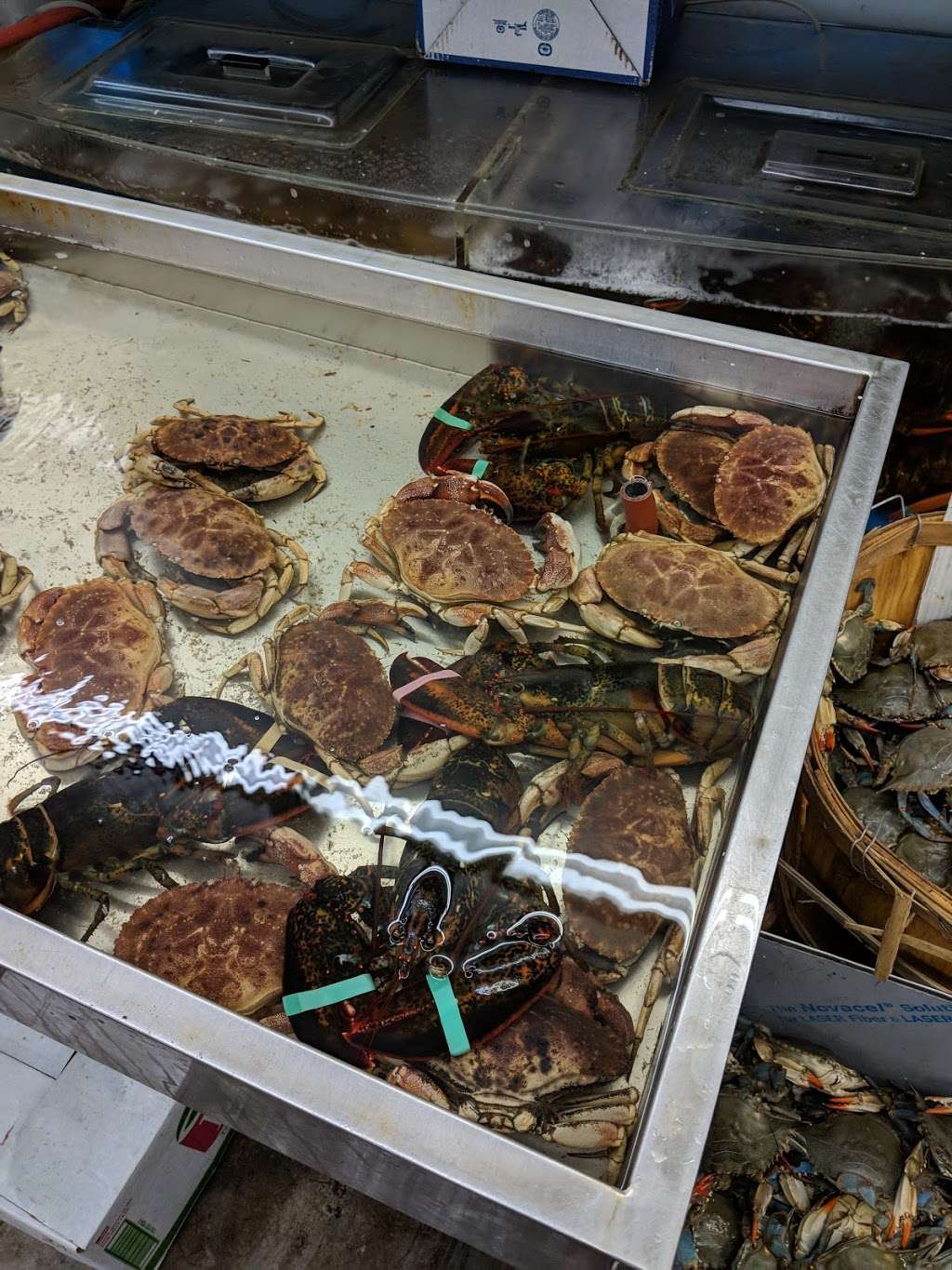 Fong & Zhou Supermarket Inc | 8514 18th Ave, Brooklyn, NY 11214, USA | Phone: (718) 872-7022 Fong & Zhou Supermarket Inc | 8514 18th Ave, Brooklyn, NY 11214, USA | Phone: (718) 872-7022