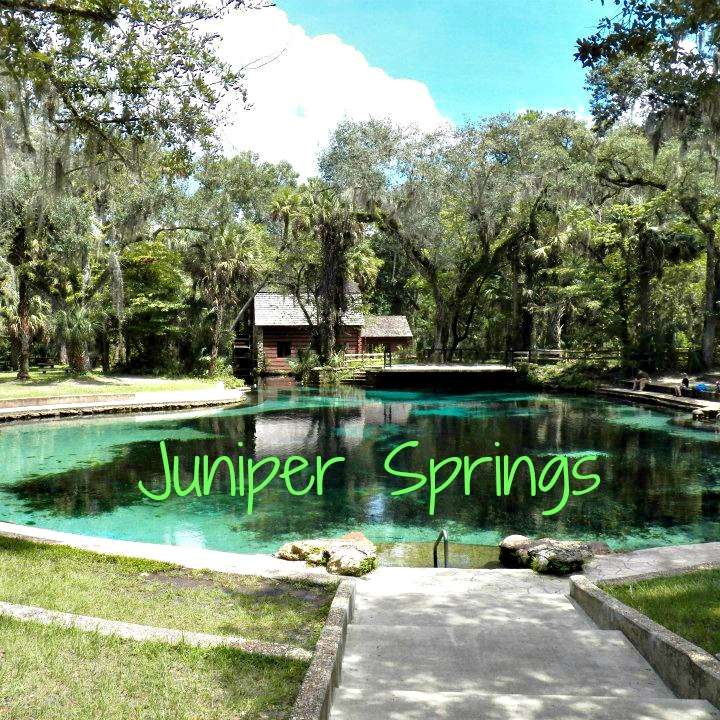 Juniper Springs Recreation Area | 26701 FL-40, Silver Springs, FL 34488, USA | Phone: (352) 625-3147