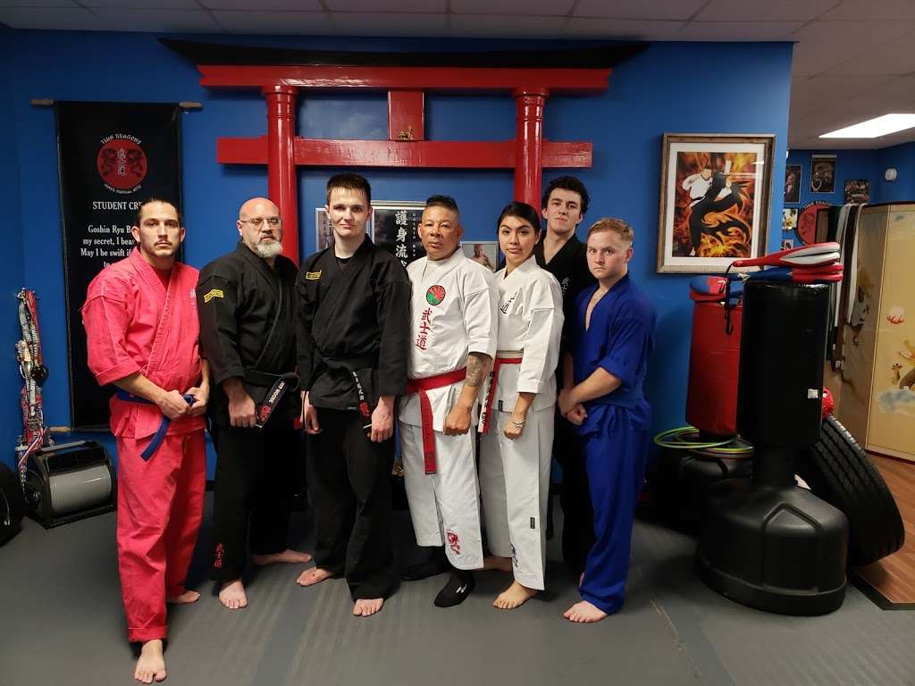 Twin Dragons Mixed Martial Arts & Fitness | 2504 25th Ave N STE 9, Texas City, TX 77590, USA | Phone: (409) 998-4600