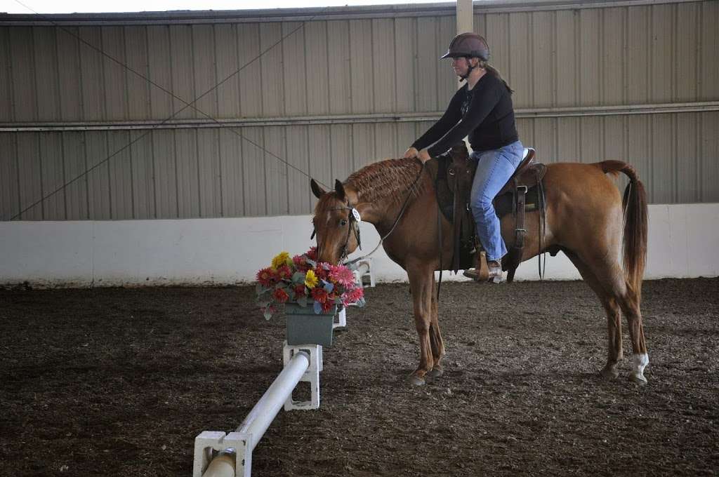 Edens Aspens Horsemanship | 15102 N 83rd St, Longmont, CO 80503, USA | Phone: (970) 590-7052