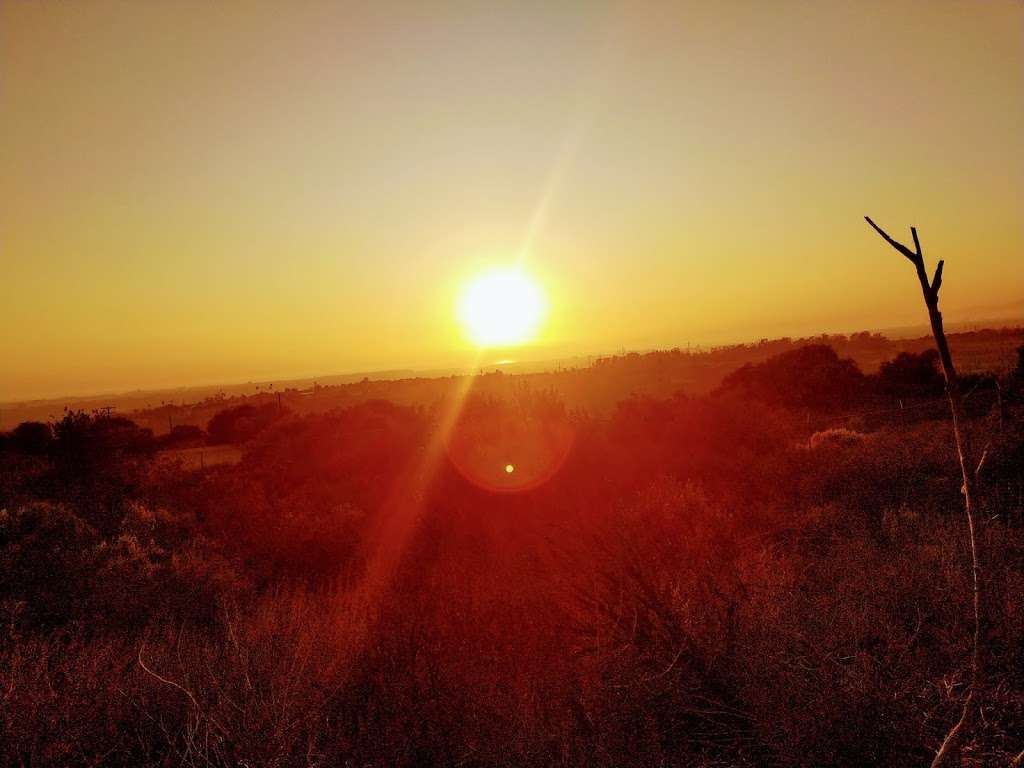 Kenneth Hahn View Point | Los Angeles, CA 90008, USA