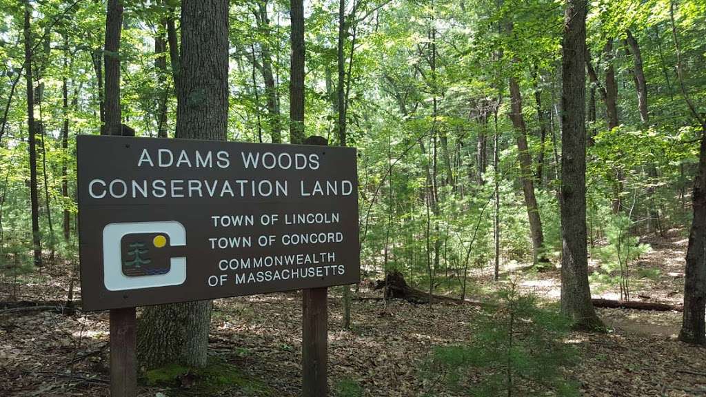 Adams Woods Conservation Land, Town of Lincoln | Adams Woods Trails, Concord, MA 01742