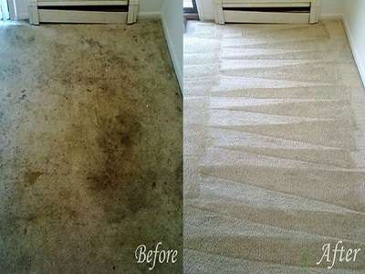 Elephant Carpet Cleaning | 5826 New Territory Blvd #607, Sugar Land, TX 77479, USA | Phone: (281) 962-4391