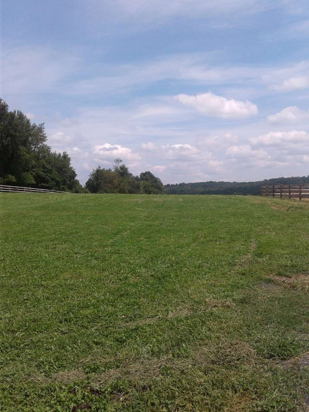Finding Hearts Farm | 2727 Thurston Rd, Frederick, MD 21704, USA | Phone: (240) 409-1107