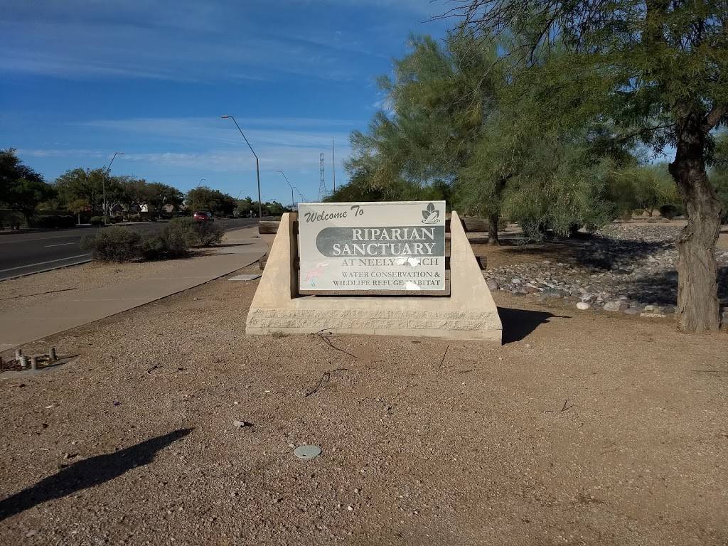 Neely Ranch Riparian Preserve | 215 N Cooper Rd, Gilbert, AZ 85233