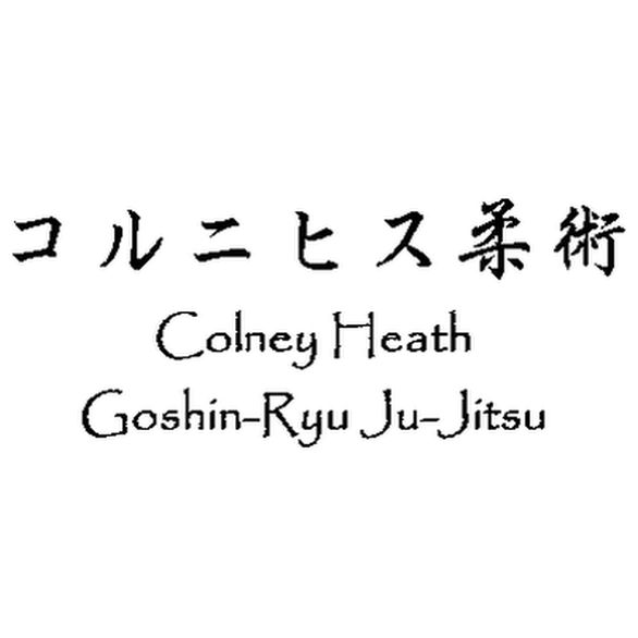 Colney Heath Goshin-Ryu Ju-Jitsu Club | Colney Heath Village Hall, High St, Colney Heath, St Albans AL4 0NS, UK | Phone: 0333 006 4578