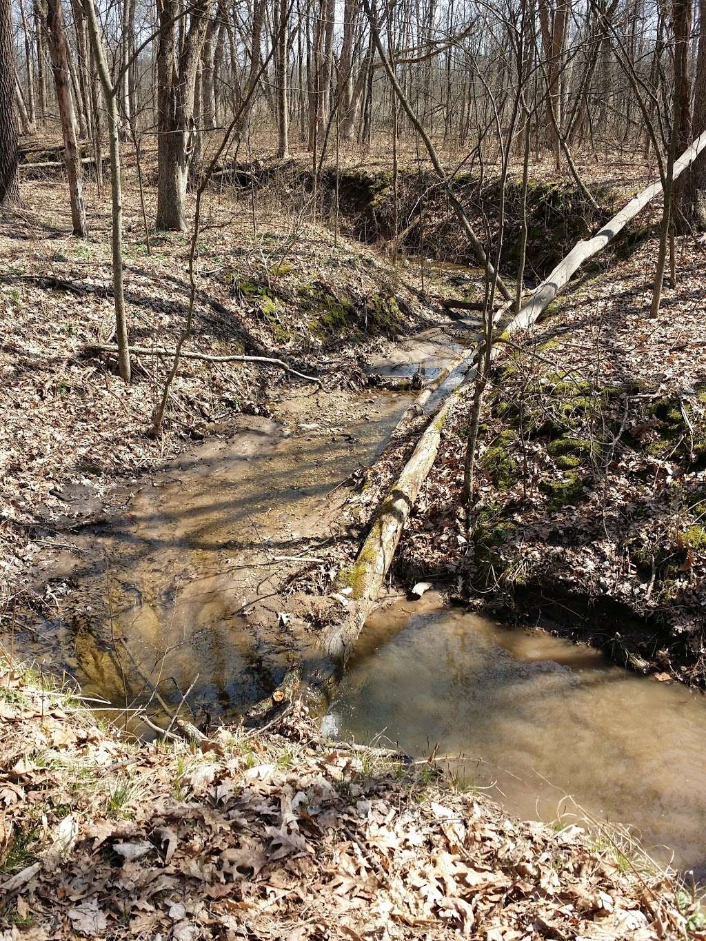 Marengo Ridge Conservation Area | 2411 N, IL-23, Marengo, IL 60152, USA | Phone: (815) 338-6223