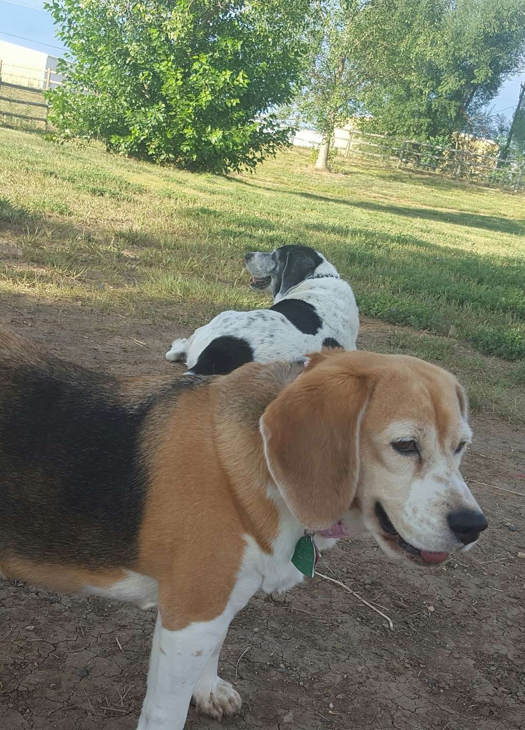 City of Longmont Dog Park #2 | Airport Rd & St Vrain Rd, Longmont, CO 80503 | Phone: (303) 651-8416