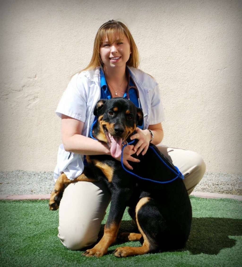 Centennial Hills Animal Hospital - Kimber Singer, DVM | 7551 N Cimarron Rd, Las Vegas, NV 89131, USA | Phone: (702) 655-0241