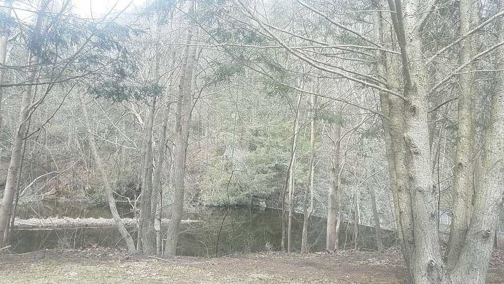 Rocky Glen State Park Scenic Reserve | 27 Glen Rd, Sandy Hook, CT 06482, USA | Phone: (860) 424-3200