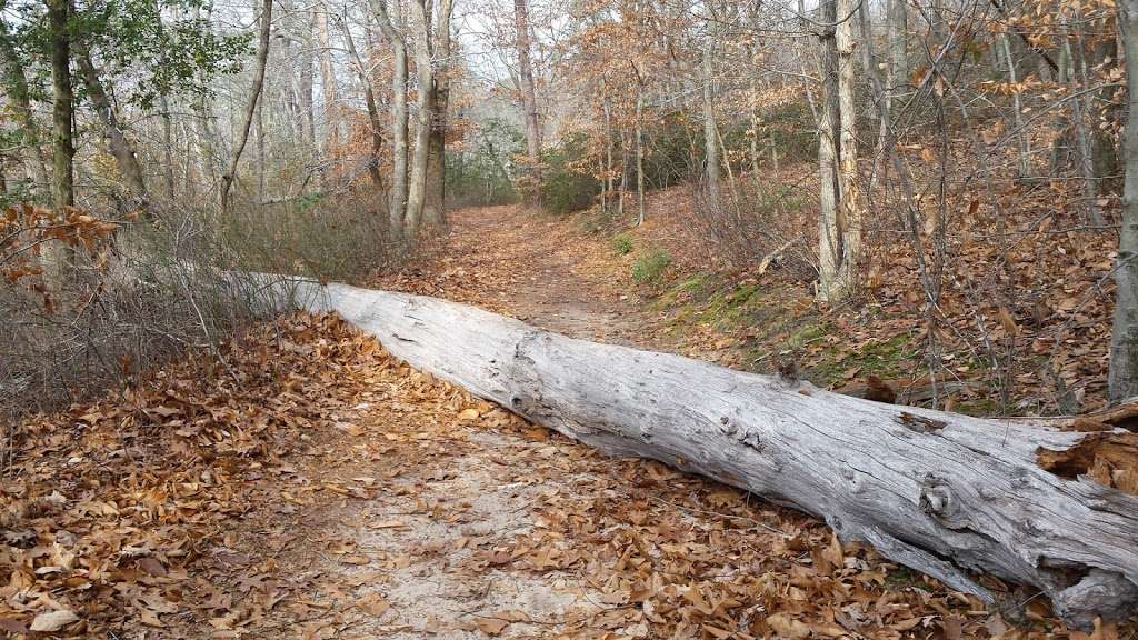 Nature Trail Parking At Piney Orchard | 8702 Natures Trail Ct, Odenton, MD 21113