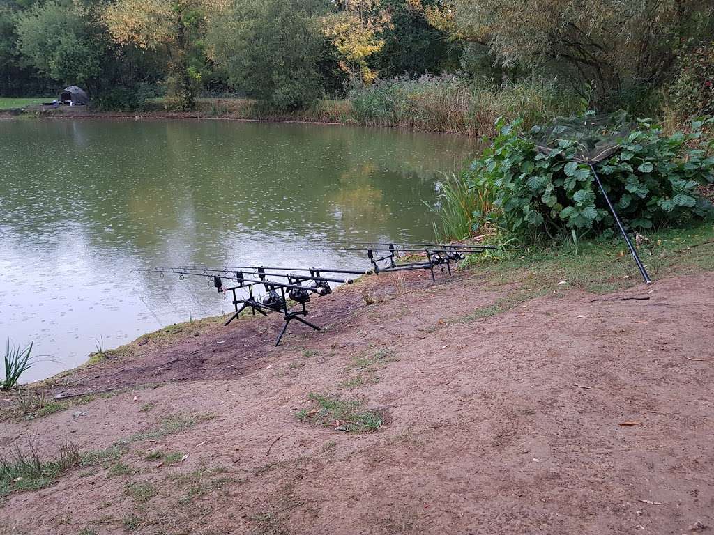 Birds Green Fishing Lakes | Birds Green, Ongar CM5 0FL, UK | Phone: 07847 753699