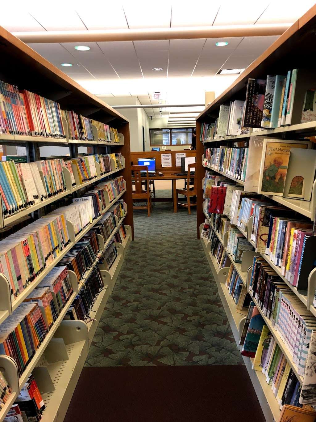 Evanston Public Library | 1703 Orrington Ave, Evanston, IL 60201, USA | Phone: (847) 448-8600