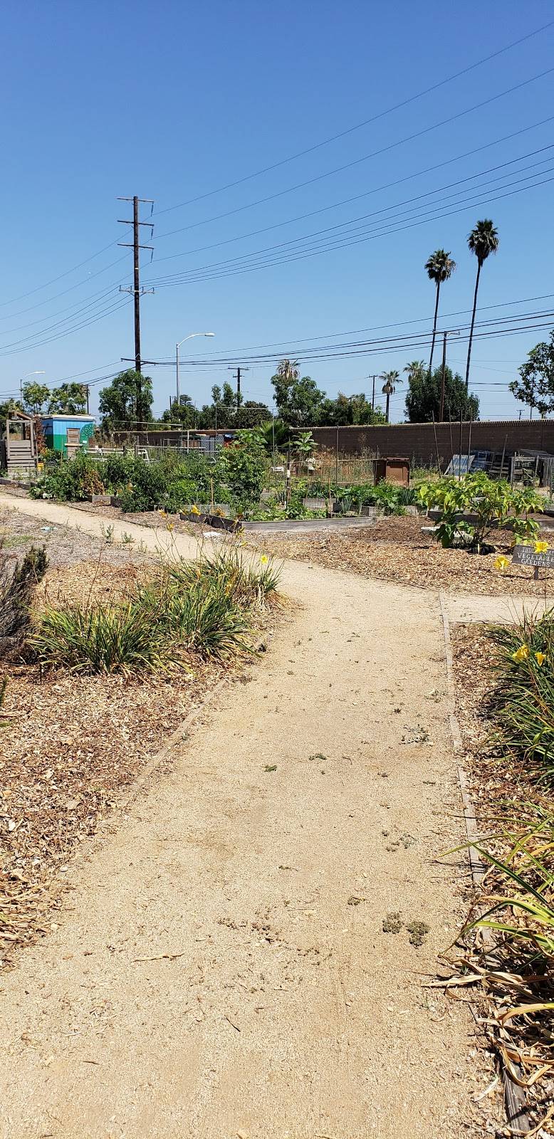 Common Ground Community Garden | 2123 W Katella Ave, Anaheim, CA 92804, USA | Phone: (714) 251-0276